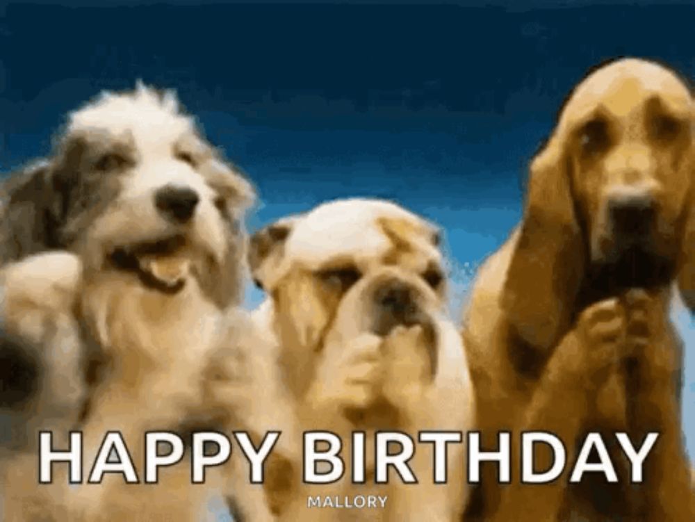 a group of three dogs standing next to each other with the words `` happy birthday '' written on the bottom .