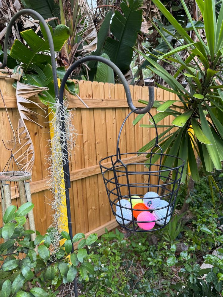 A black wire hanging basket in a backyard that is filled with nine golf balls. Six golf balls are white, one is pink, one is orange, and one  is yellow.