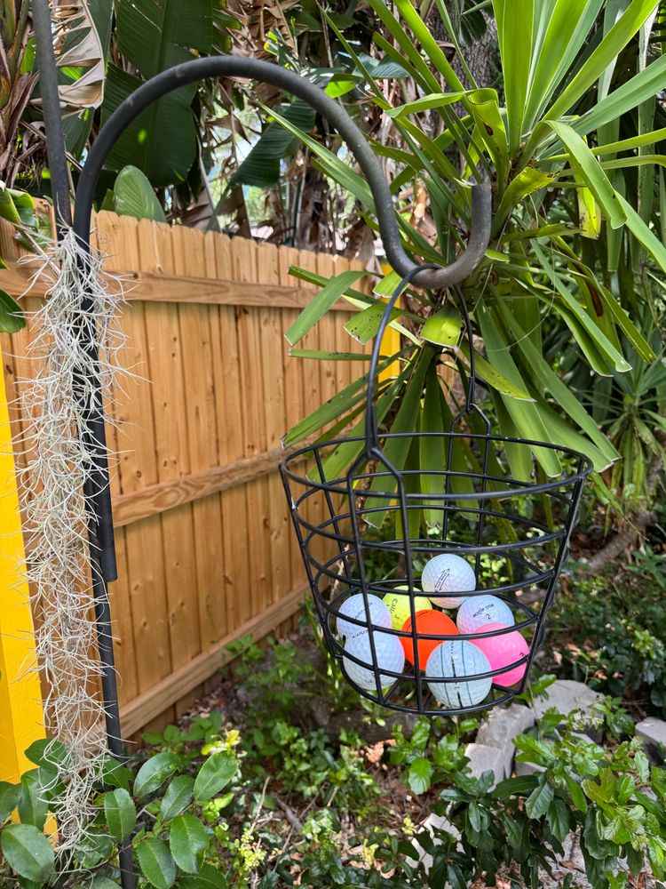 A black wire hanging basket in a backyard that is filled with eight golf balls. Five of the golf balls are white one golf ball is pink. One golf ball is orange and one golf ball is yellow.