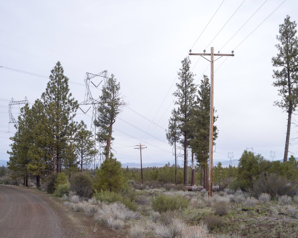 A dirt road cuts through Central Oregon sagebrush forest on a cloudy day; multiple power lines cross in different directions through the landscape.