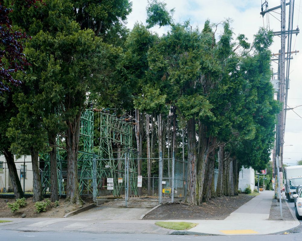 An electrical substation on a city corner lot is surrounded by rows of trees in front of a chain-link fence.