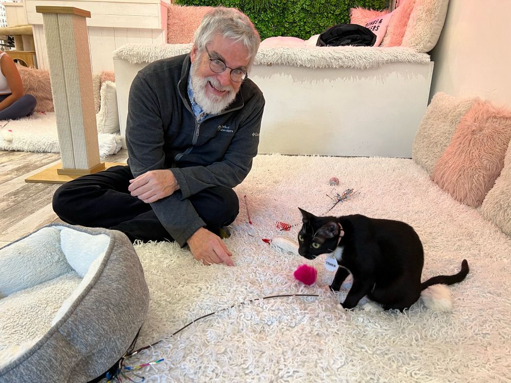 The author with a black cat at a cat cafe