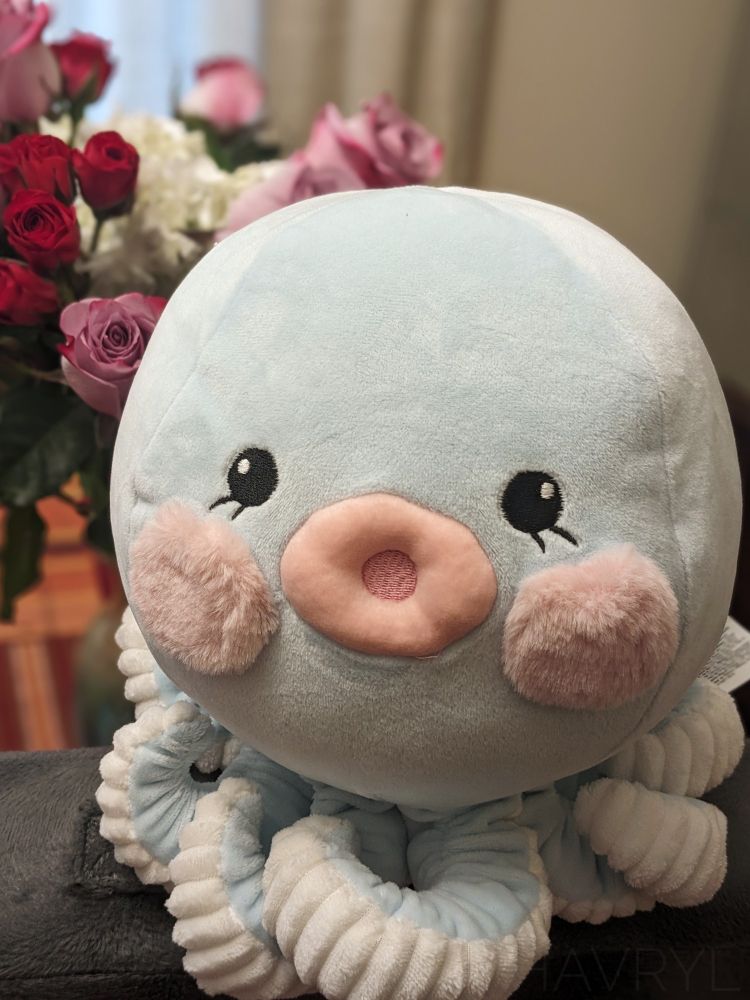 The same octopus plush toy at home in front of a vase of Valentine's Day flowers.