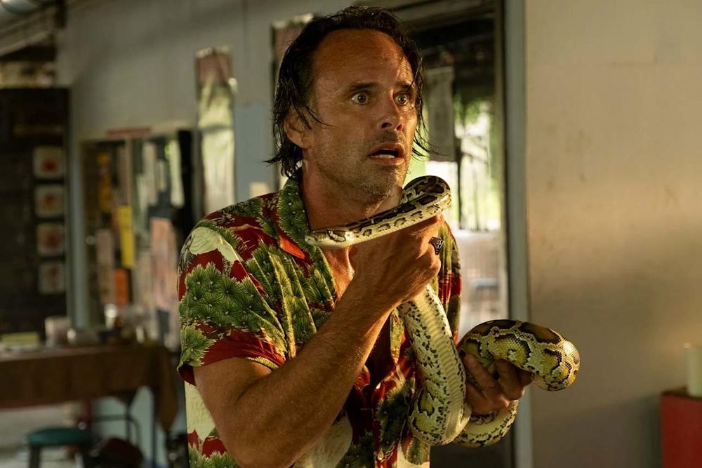 Walton Goggins as Rick Hatchett in the show The White Lotus.