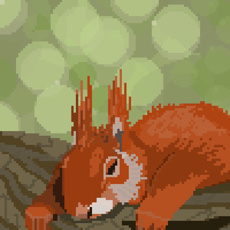 A sleeping squirrel.