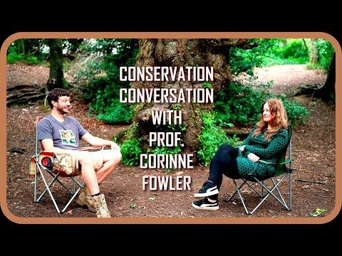 Conservation Conversation - Prof. Corinne Fowler (Our Island Stories)