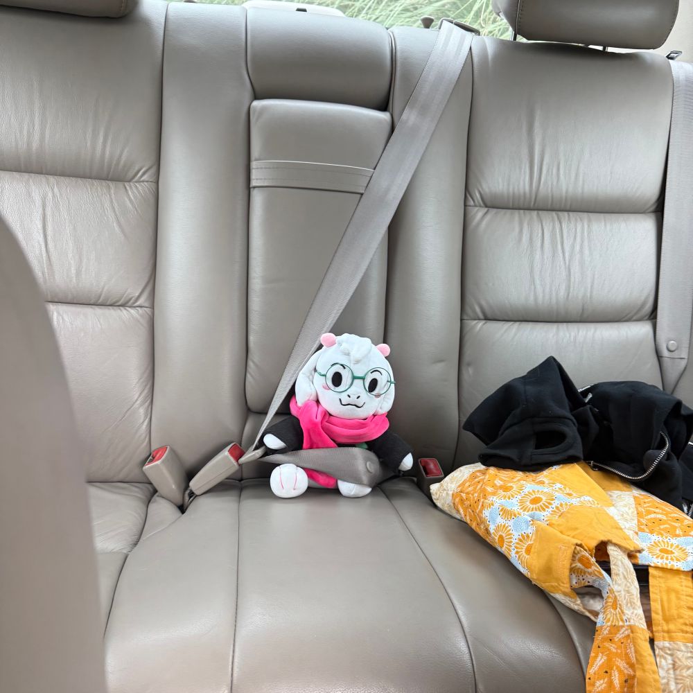 Photo of a hatless Ralsei plush in a car with the seatbelt on