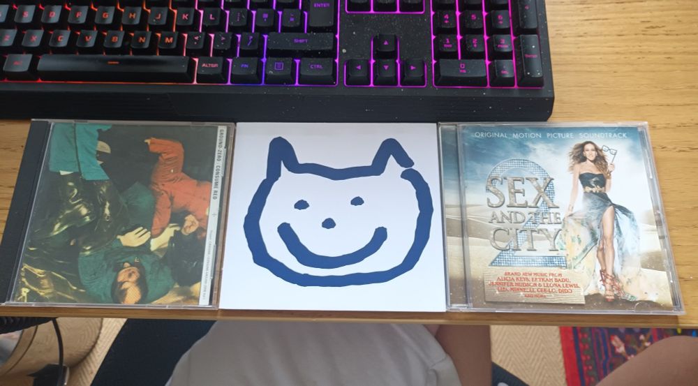 3 cd cases layed out on a desk, 1st depicts a moshpit with several figures mid fall 2nd is a crudely drawn smiling cat, 3rd is the sex and the city 2 soundtrack with smash Jessica Parker walking in a desert