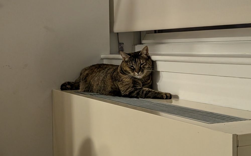 Tabby cat lies on an wall-mounted electric heater vent