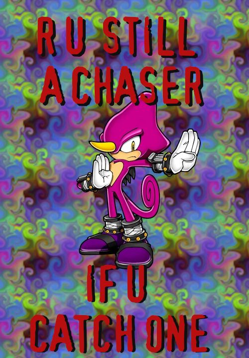 Espio from sonic, a purple chameleon guy who is also a ninja I guess, on a rainbow swirl background, with the text in red: "R U STILL A CHASER IF U CATCH ONE" in XbandROUGH font, from the "you wouldn't download a car, would you?" thing