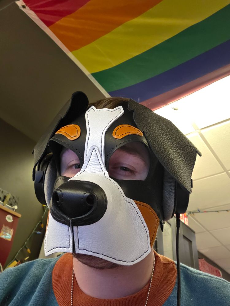 James squinting in a leather pup hood, black nose, white muzzle with orange at the base and orange eyebrows, black base color and floppy ears. Bernese mountain dog. Pride flag on roof. Wearing a knit sweater orange collar with blue base color