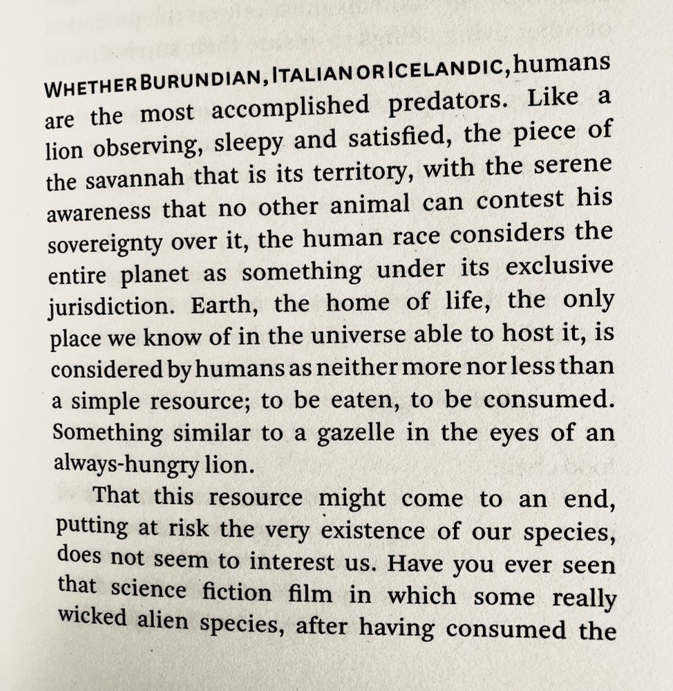 WHETHER BURUNDIAN, ITALIAN OR ICELANDIC, humans are the most accomplished predators. Like a lion observing, sleepy and satisfied, the piece of the savannah that is its territory, with the serene awareness that no other animal can contest his sovereignty over it, the human race considers the entire planet as something under its exclusive jurisdiction. Earth, the home of life, the only place we know of in the universe able to host it, is considered by humans as neither more nor less than a simple resource; to be eaten, to be consumed.
Something similar to a gazelle in the eyes of an always-hungry lion.
That this resource might come to an end, putting at risk the very existence of our species, does not seem to interest us. Have you ever seen that science fiction film in which some really wicked alien species, after having consumed the
