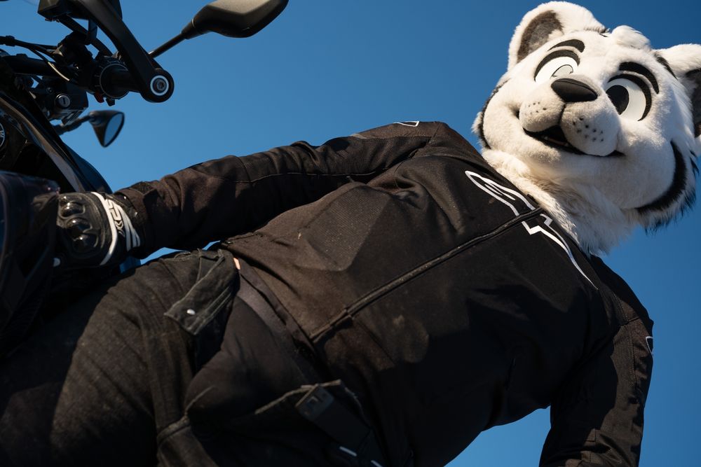 Somnius in motorcycle gear and fursuit head, black jeans unzipped to show their black underwear-covered bulge poking out of their jeans. The view is shot at an angle, Somnius's fursuit head in the upper right and their motorcycle handlebars visible in the lower-left.