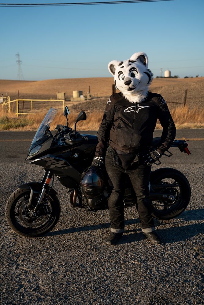 Somnius in fursuit head and motorcycle gear, holding their helmet in front of their motorcycle. Their jeans are zipped open, showing off their black underwear covered bulge. The photo is shot in portrait, with Somnius's full body in front of their motorcycle is visible, with some brush, a fence surrounding a field, and some distant buildings are visible in the background.