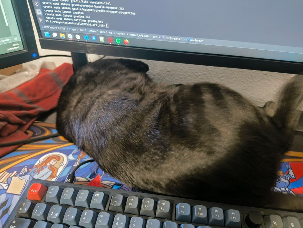 Kal rodando en el escritorio sobre el cable del teclado