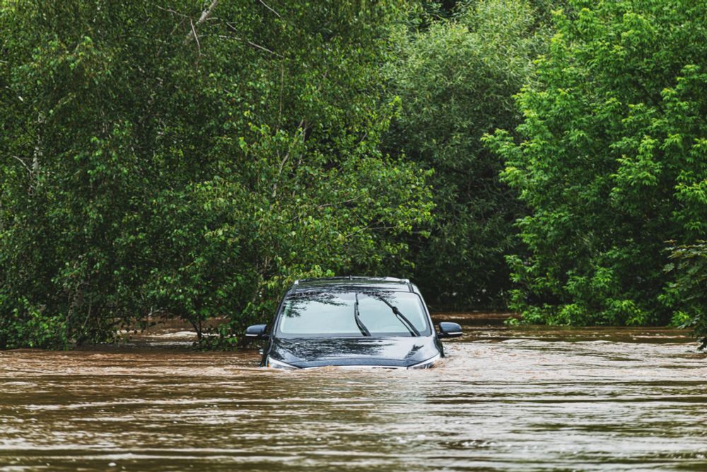 10 Tips to avoid buying flood damaged cars