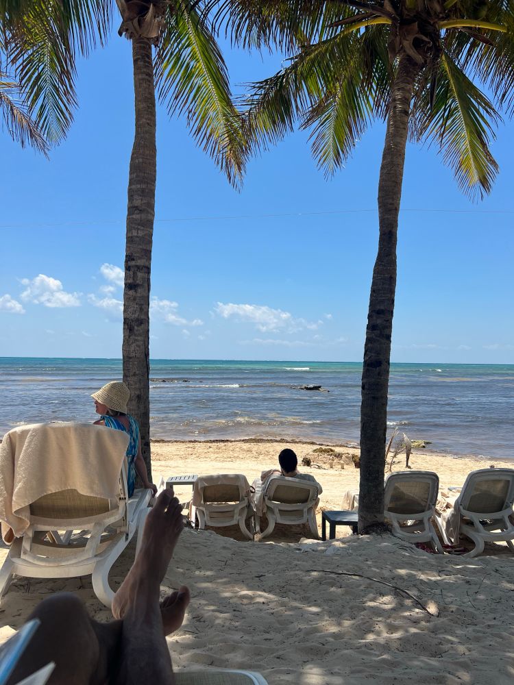 The beach, two Palm trees and some people sitting in chairs