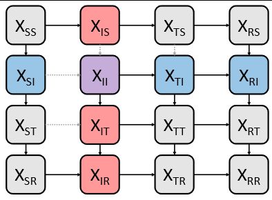 A schematic of a two-pathogen interacting transmission model.