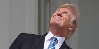 the orange one staring directly at the sun