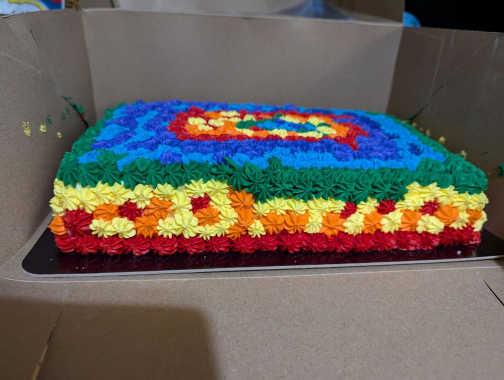 A sheet cake in a cake box from the side. Small piped icing rosettes of red, orange, yellow, green, blue, and purple cover this cake in with some pattern and some chaos.