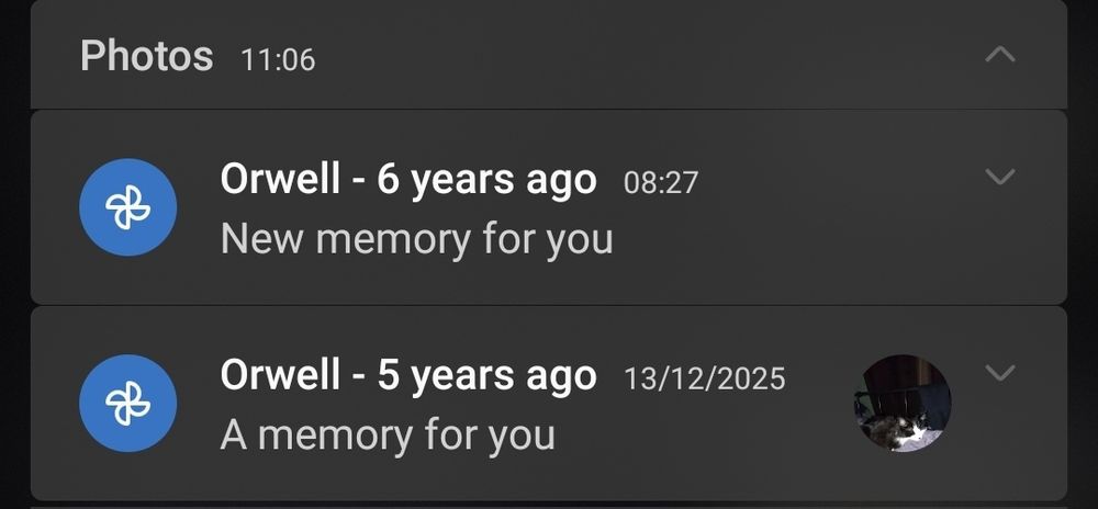 Google photos notifications inviting me to revisit memories of my beloved cat, Orwell, from 5 and 6 years ago.