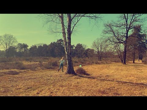 Schmitz & Niebuhr - Wahnheide