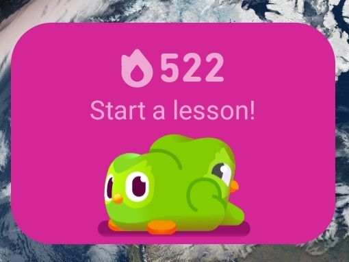 The duolingo owl, Duo (a green cartoon owl), with a face painted on their butt.