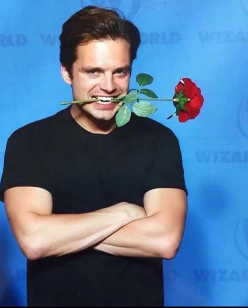 Man holding a rose in his mouth, arms crossed, looking at camera with rizz