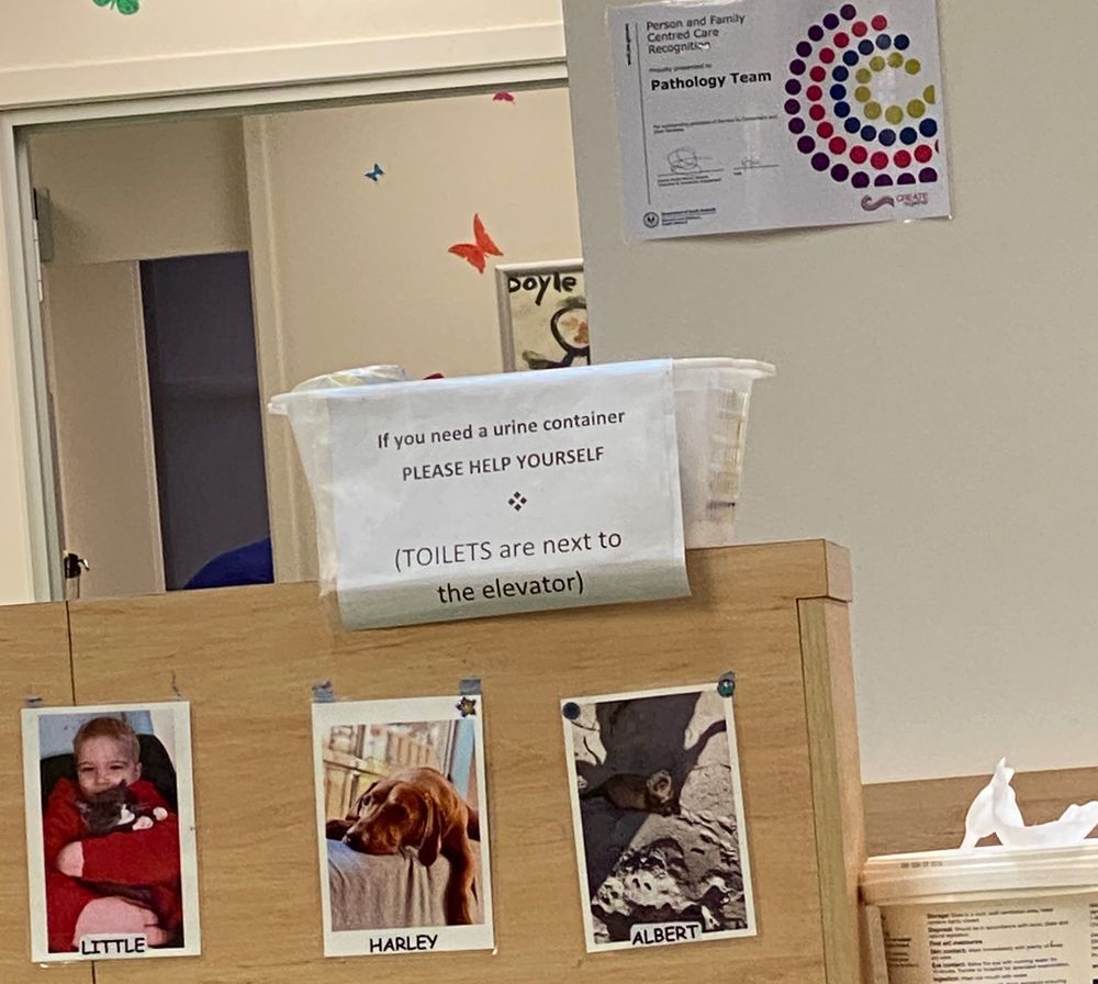 Photo of a basket reading:
“If you need a urine container
PLEASE HELP YOURSELF
*
(TOILETS are next to
The elevator)