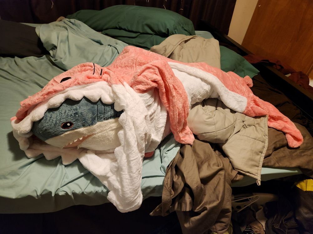 An IKEA Blåhaj stuffed into an oversized pink shark kigurumi