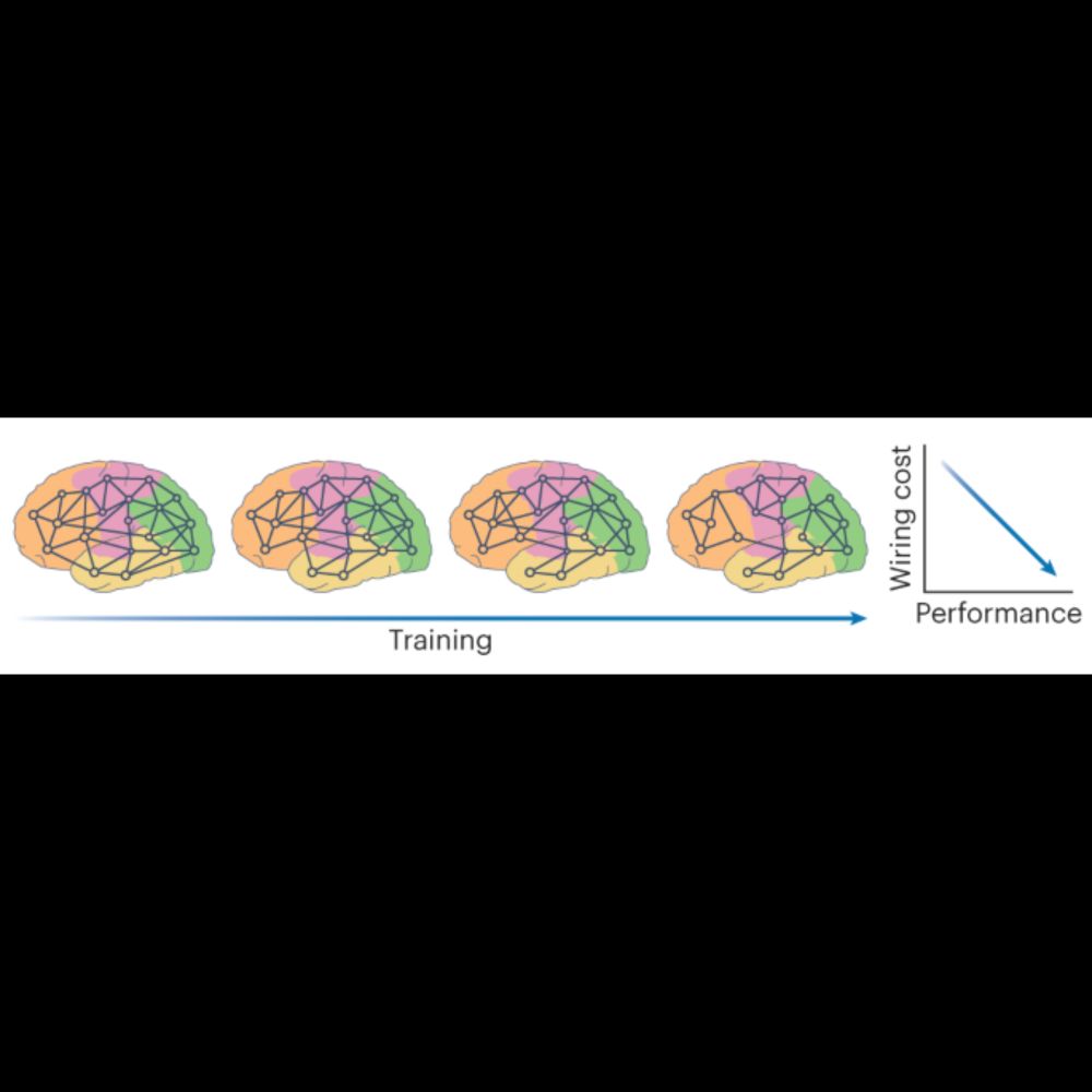 Spatially embedded neuromorphic networks - Nature Machine Intelligence