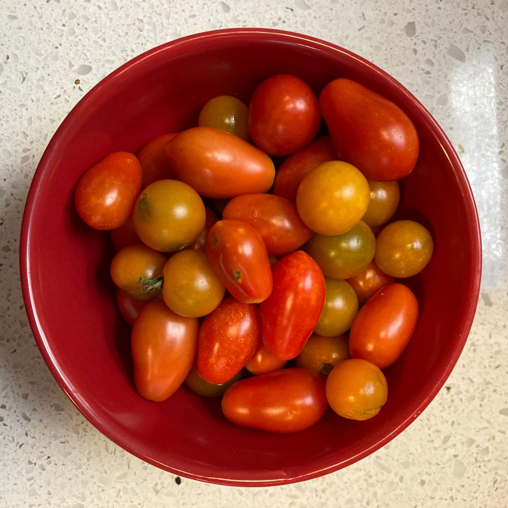Mini plum and cherry tomatoes 