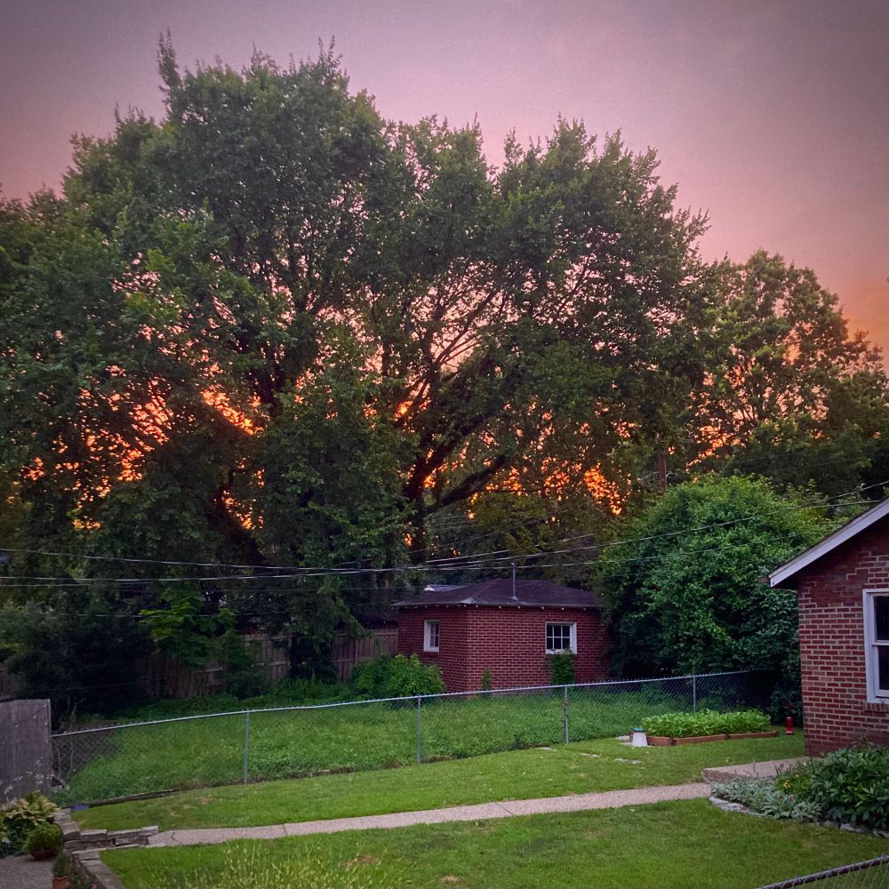 Golden sunset, University City, Missouri