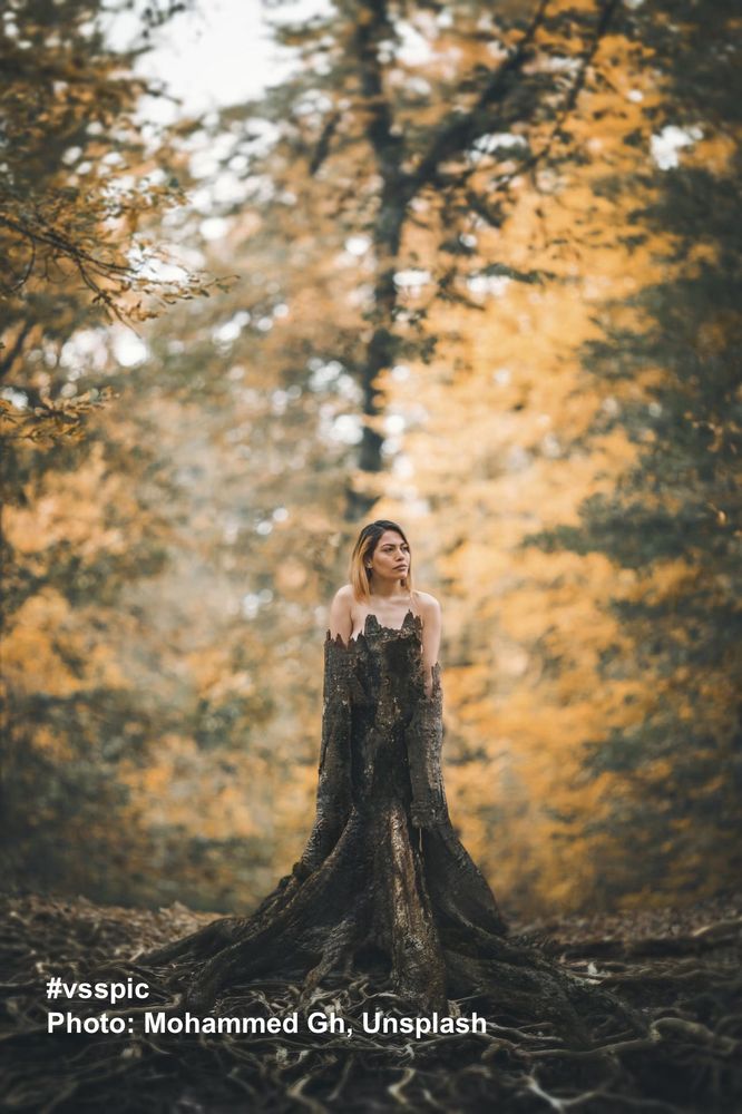 A woman with brown hair stands in the middle of a forest. She stands with her head and shoulders protruding from the stump of a large tree, as if she is wearing a dress, but the dress has now solidified into a bark column that flares out at the base, and she has fused with the forest floor.