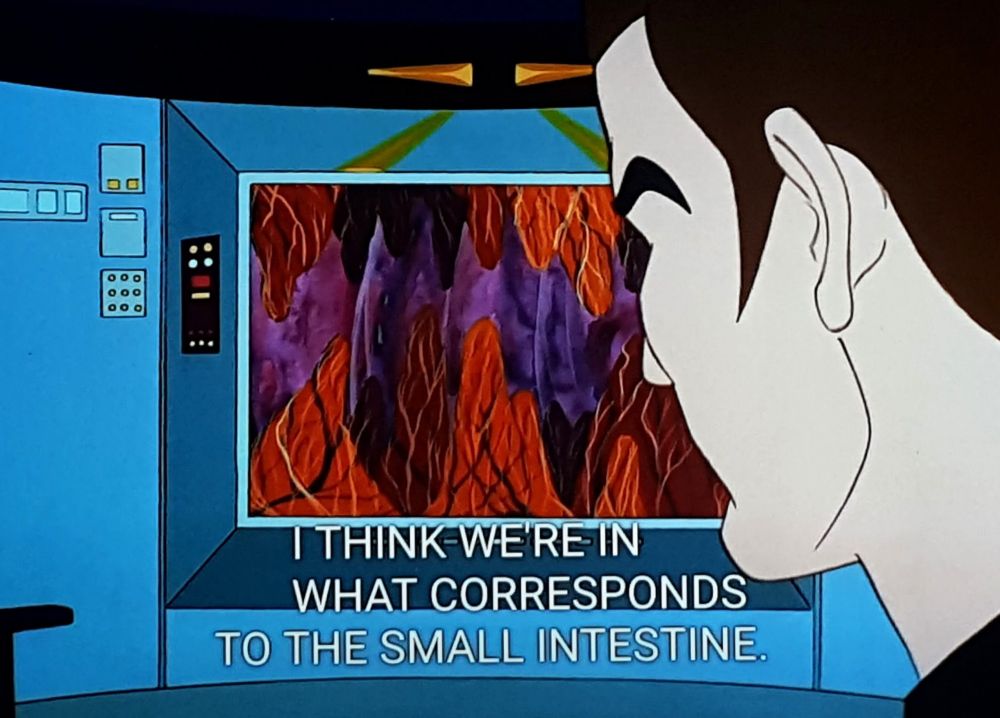 Star Trek The Animated series scene. We're on ship and looking over Bone's'es shoulder as he looks at the viewscreen. The viewscreen is showing an image of a lot of red and purple colors and lines. Kind of looks like a red purple cave but I don't think it's a cave. Closed caption reads, "I THINK WE'RE IN WHAT CORRESPONDS TO THE SMALL INTESTINE."