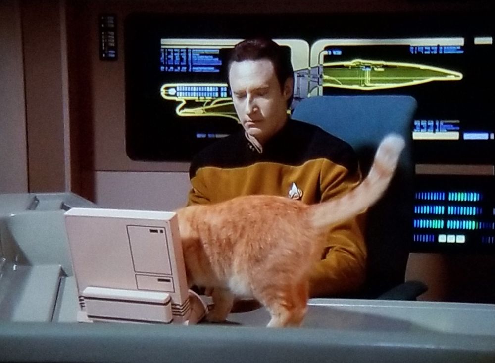 Star Trek The Next Generation scene. We're in Data's personal quarters and he's sitting at his desk working on his future space laptop. Behind him are panel touchscreens filled with LCARS schematics. 
In picture 1, Data's cat spot has jumped up and is standing on his computer. Picture two shows Data setting his cat back down on the floor. Picture 3 shows Spot has now jumped back up onto the desk. Caption reads, "(meowing)". Pic 4 shows Data sternly looking at Spot, closed caption reads, "Spot, you are disrupting my ability to work."