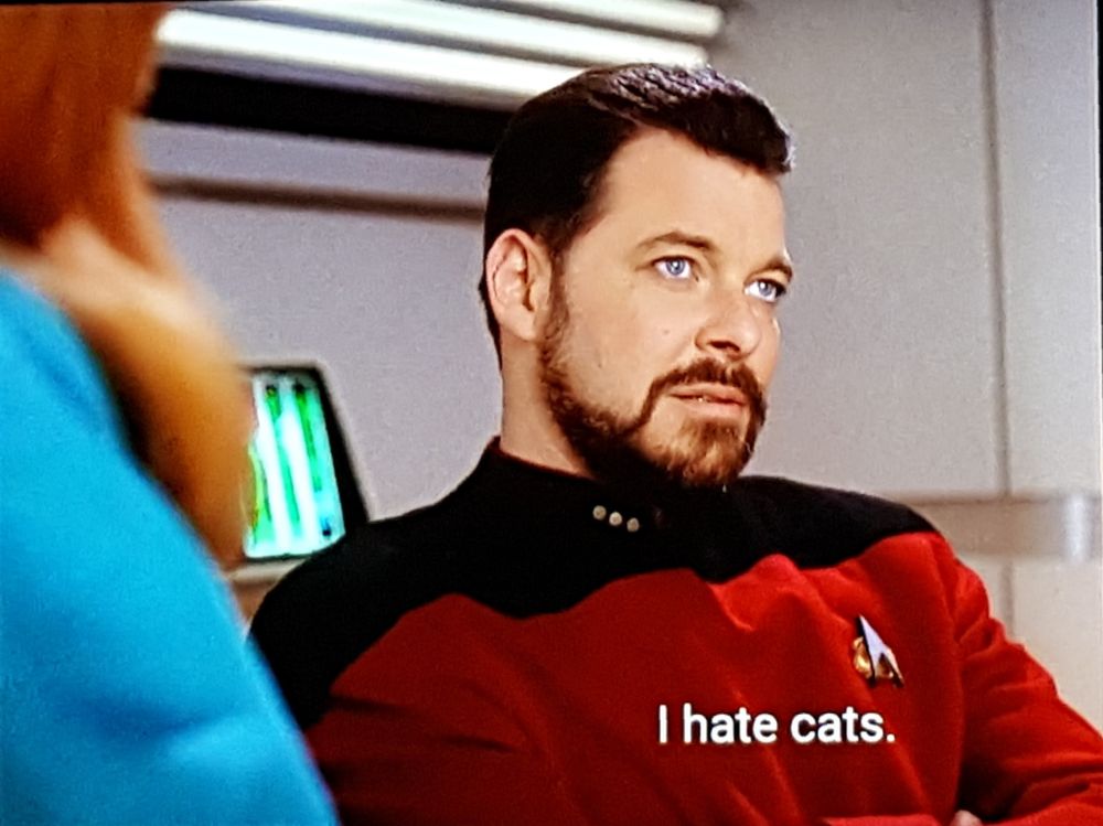 Star Trek The Next Generation scene. We're on ship in a room of some kind. Could be sick bay. Could be personal quarters. There's simply no way to know for sure. Beverly sits mostly off camera near Commander Riker, who is sitting and leaning back a bit, looking slightly pissed. Closed caption reads, "I hate cats."