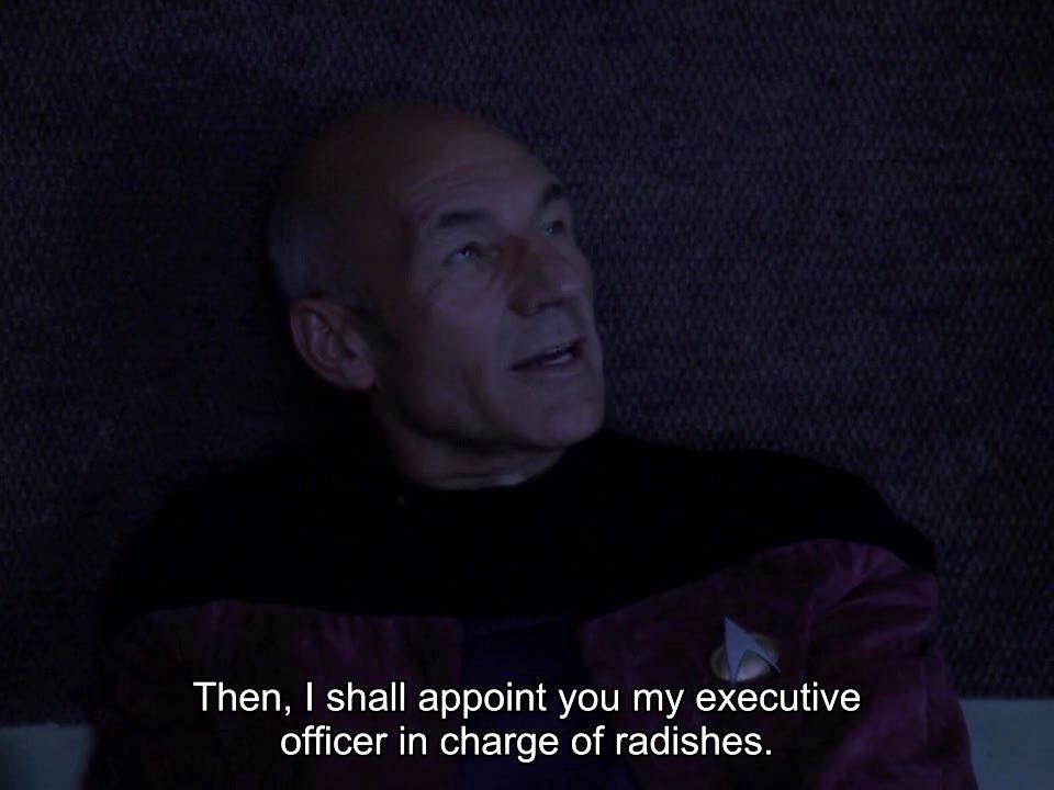 Star Trek The Next Generation scene. We're in the turbolift once again, and it's very dark. I think the power probably went out, but we cannot be sure! That's context, baby, and we don't play around with that kind of thing here. Anyways, Picard is pictured and it seems like he's sitting in the dark. Closed caption reads, "Then, I shall appoint you my executive officer in charge of radishes."