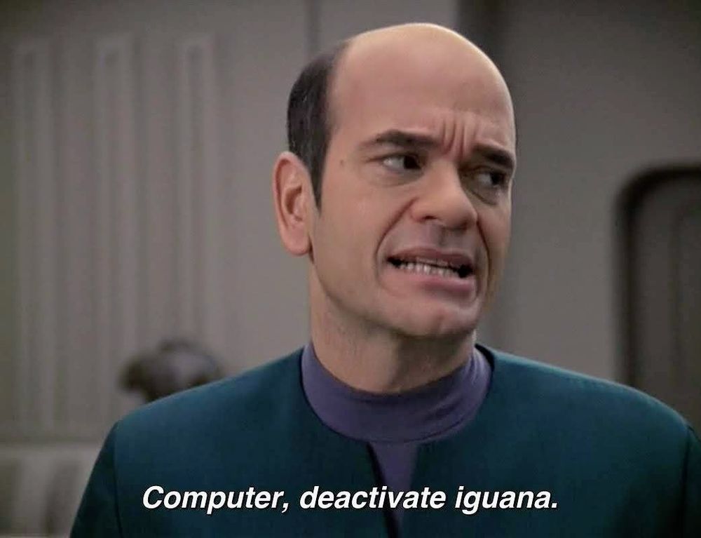 Star Trek Voyager scene. Not a lot going on in this one folks, just a close up shoulder and head shot of the good Doctor EMH in his teal starfleet uniform. He's looking slightly aggrieved, as per ushe. Closed caption reads, "Computer, deactivate iguana."