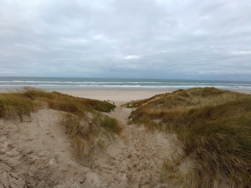 Uitzicht vanaf een duin richting het strand en de Noordzee.