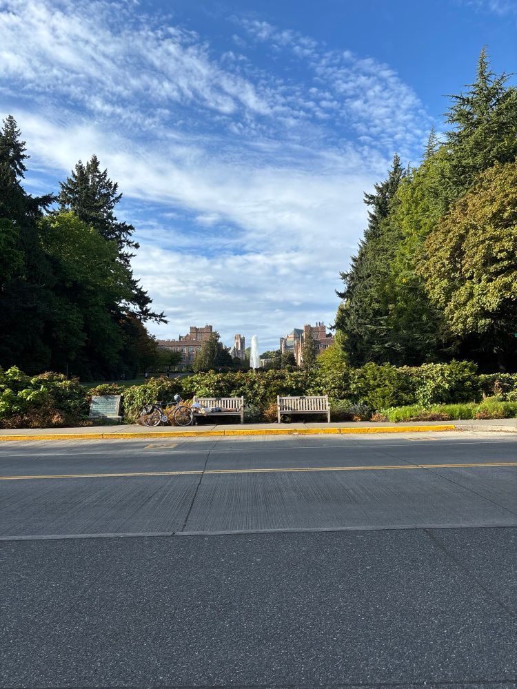view of uw big fountain from stevens way