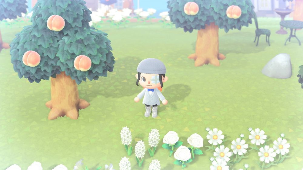 a screenshot of Animal Crossing New Horizons. Xed’s second play through this time since the old account was lost with the old Gmail back when the game originally came out 