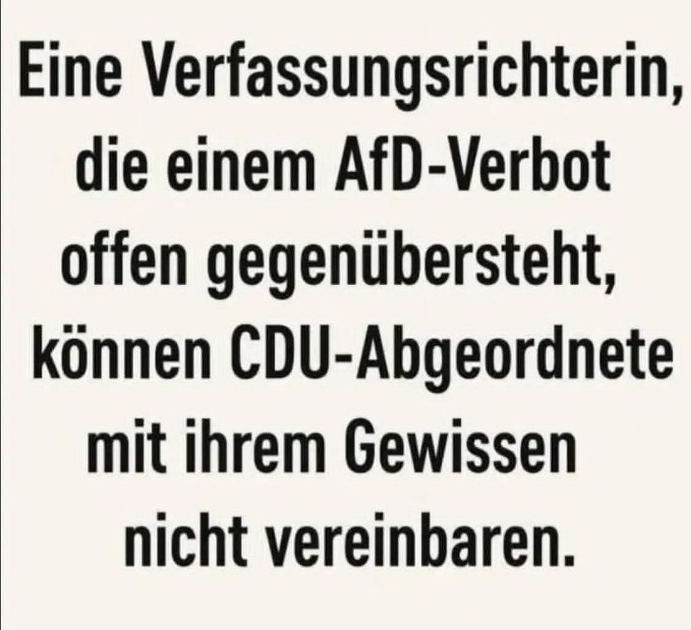 Schwarze Schrift auf weissen Hintergrund, es steht:

Eine Verfassungsrichterin,
die einem AfD-Verbot 
offen gegenübersteht,
können CDU-Abgeordnete 
mit ihrem Gewissen 
nicht vereinbaren.