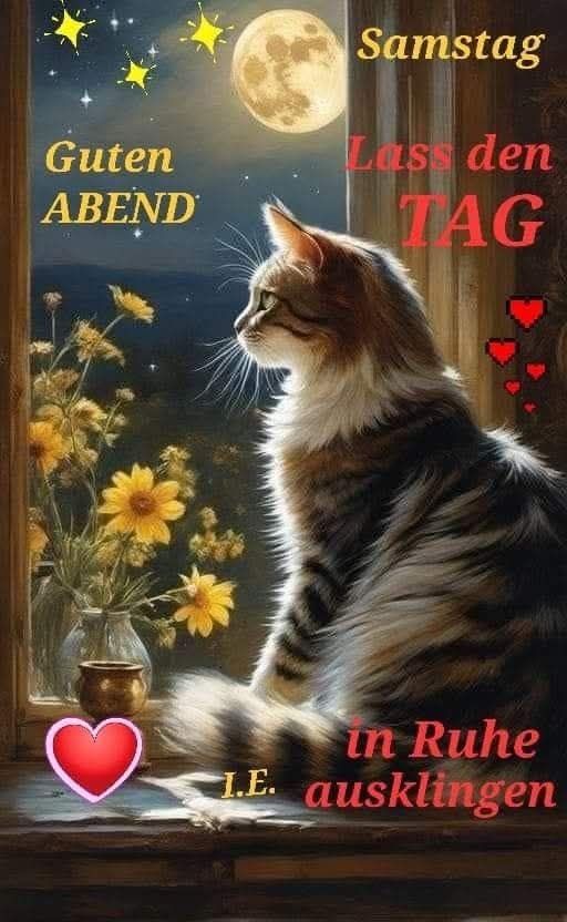 Ein Kl-Bild zeigt ein braunweissgetigertes Kätzchen auf der Innenfensterbank mit Blick zum Sternenhimmel bei Vollmond neben einer Vase mit gelben Blumen. Dazu steht:

Samstag 

Guten 
ABEND 

Lass den 
TAG 

In Ruhe 
ausklingen 


(I.E.)