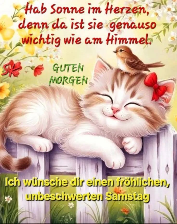 Ein Kl-Bild zeigt ein braungetigertes Kätzchen auf einem Zaun mit einem Vögelchen und einer Haarschleife auf dem Köpfchen, dahinter eine Blumenwiese. 
Dazu steht: 

Hab Sonne im Herzen, 
denn da ist sie genauso 
wichtig wie am Himmel. 

GUTEN 
MORGEN 

Ich wünsche dir einen fröhlichen,
unbeschwerten Samstag 


(SK)
