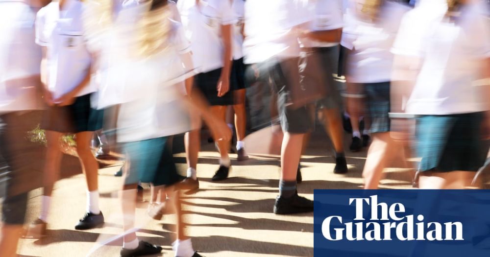 One in three children not meeting reading or writing standards: latest Naplan results in six graphs