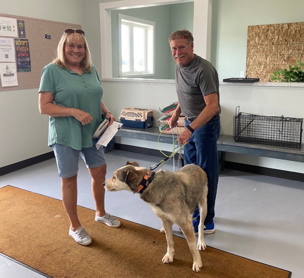 They put out food for a lost dog for a year. He finally made it home.