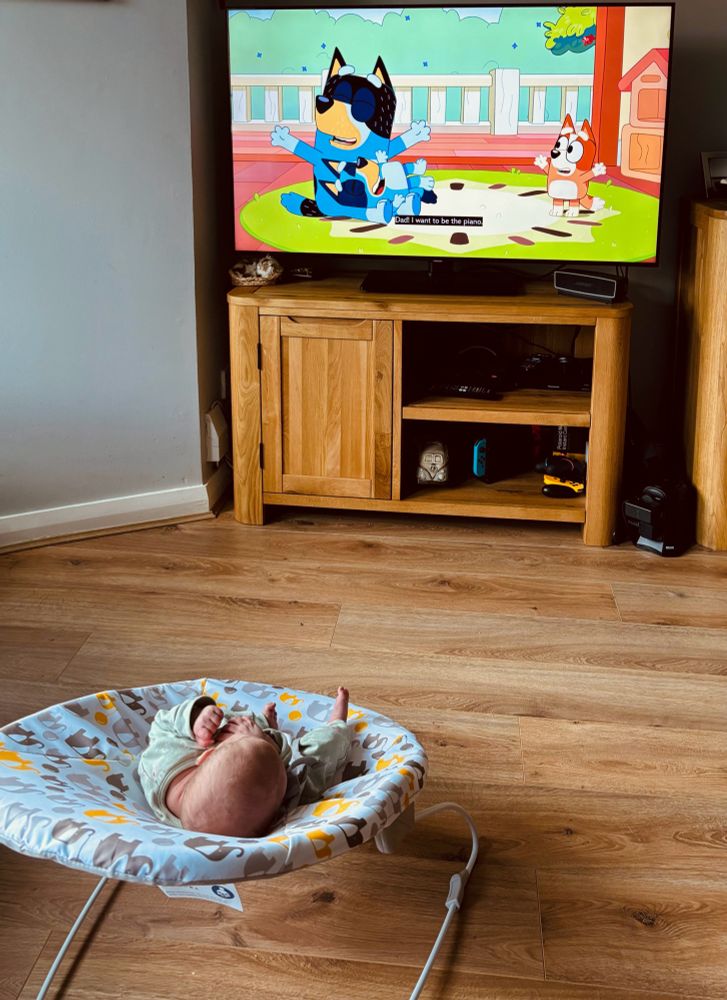 a photo of a small baby wearing green in a bouncer chair with yellow and grey elephants on it. they are facing away from the camera at the television which is playing the kids tv show 'Bluey'.