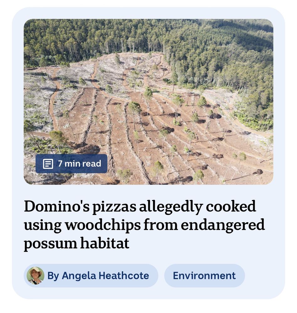 Screenshot of a story on ABC News (Australia). The headline reads: -
Domino's pizzas allegedly cooked using woodchips from endangered possum habitat
By Angela Heathcote