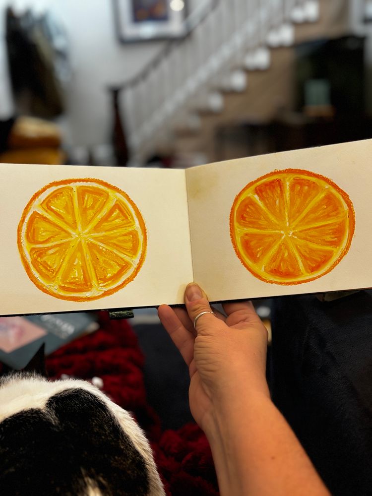 Orange slices in oil pastel